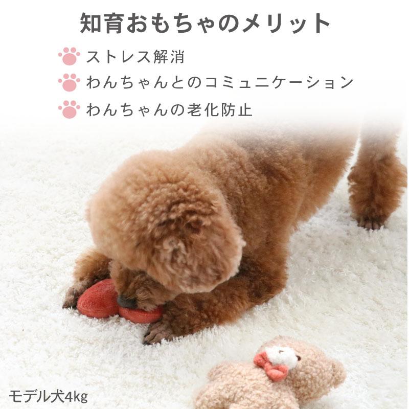 PET PARADISE（ペットパラダイス） 犬 おもちゃ 知育玩具 ノーズワーク