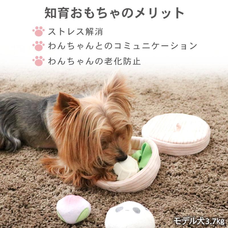 PET PARADISE（ペットパラダイス） ポイント5倍 犬 おもちゃ 知育玩具