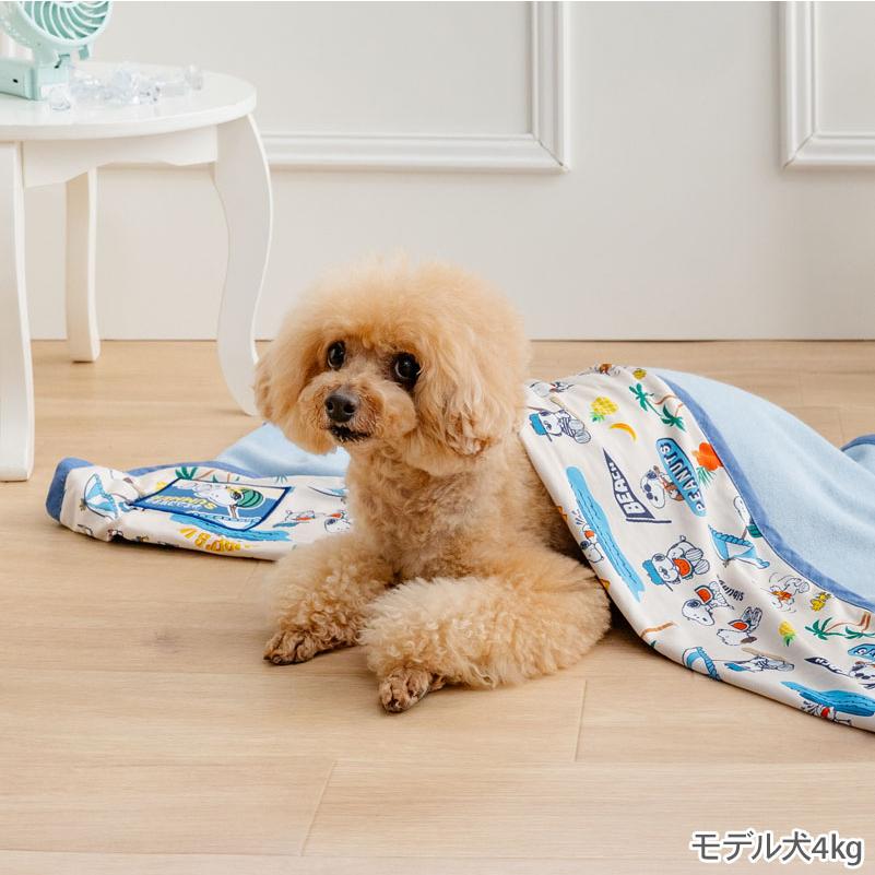 SNOOPY（スヌーピー） 犬 ブランケット 夏用 サマーバケーション 柄