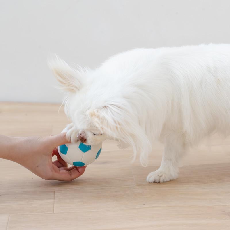 PET PARADISE（ペットパラダイス） 犬 おもちゃ サッカーボール トイ