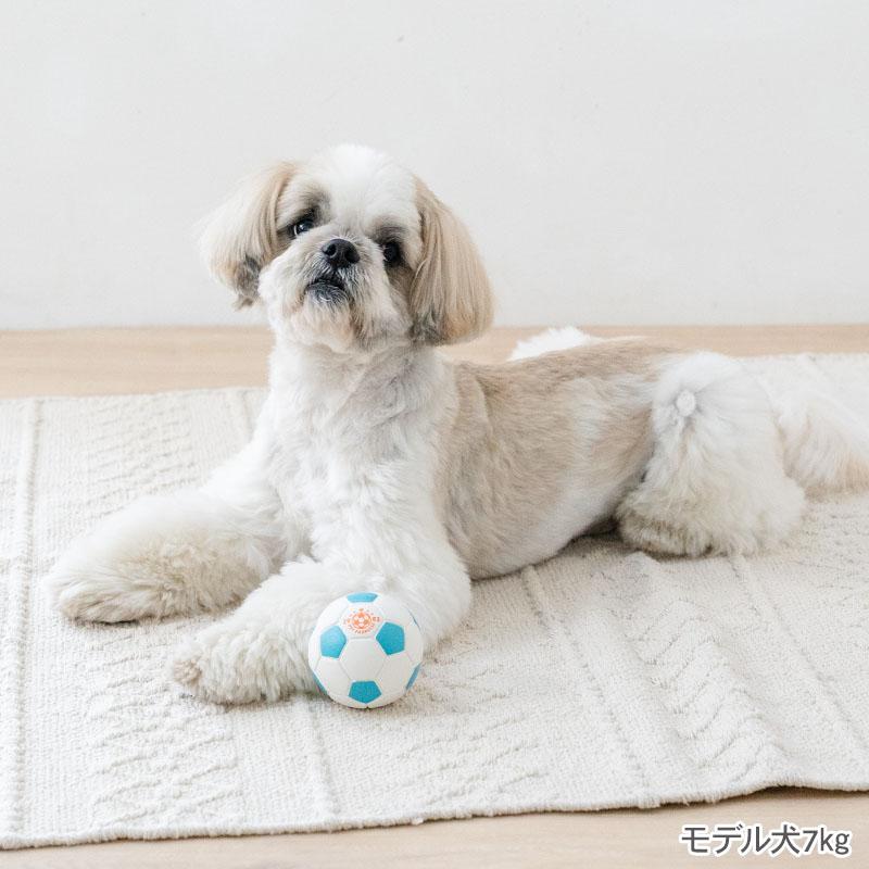 PET PARADISE（ペットパラダイス） 犬 おもちゃ サッカーボール トイ