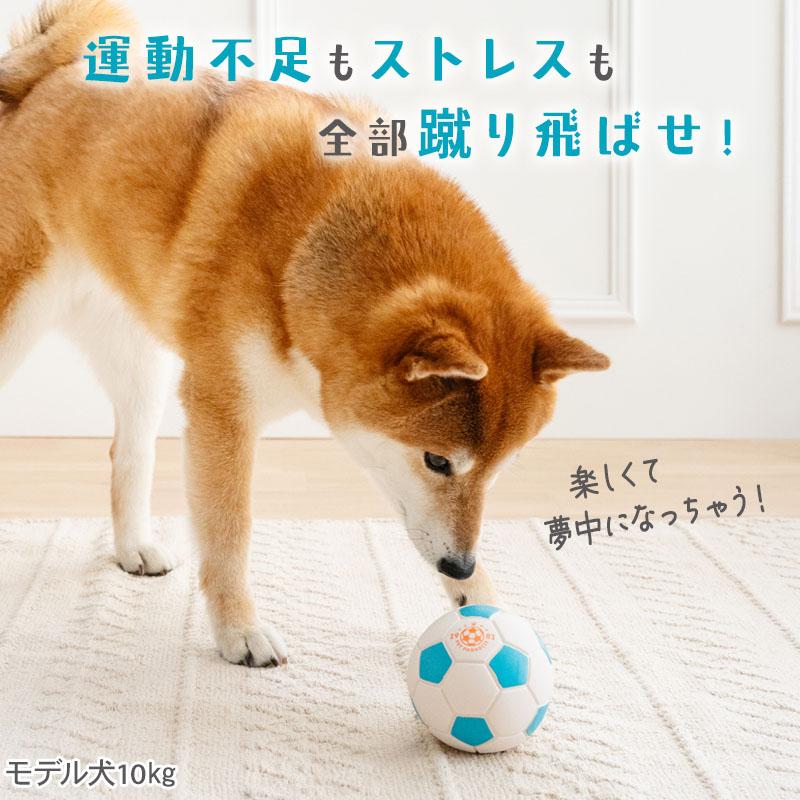 PET PARADISE（ペットパラダイス） 犬 おもちゃ サッカーボール トイ