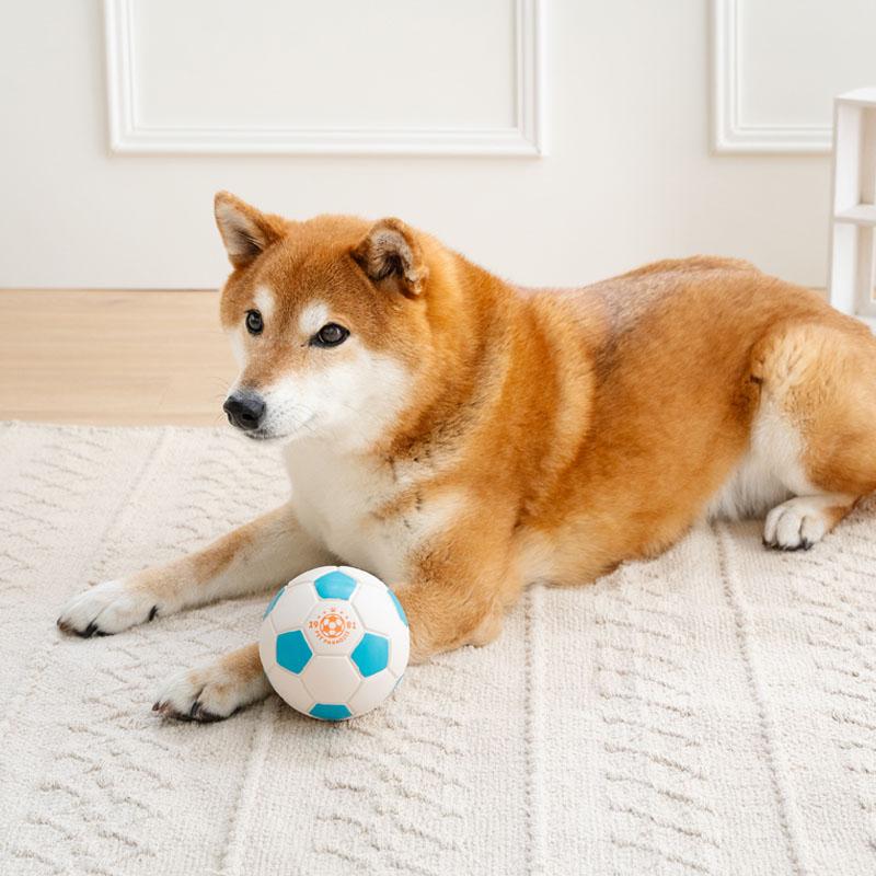 PET PARADISE（ペットパラダイス） P10倍 犬 おもちゃ サッカーボール