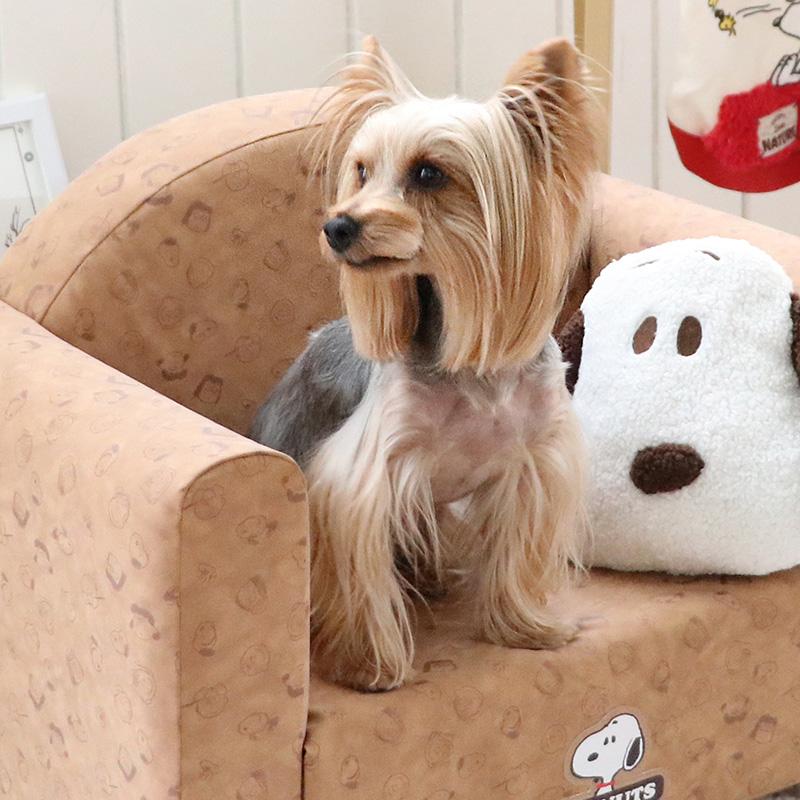 SNOOPY（スヌーピー） 犬 ソファ ベッド クッション付き 〔小型犬