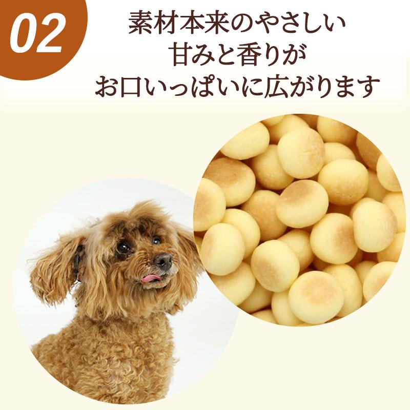 PET PARADISE（ペットパラダイス） 犬 おやつ 国産 かぼちゃ ボーロ
