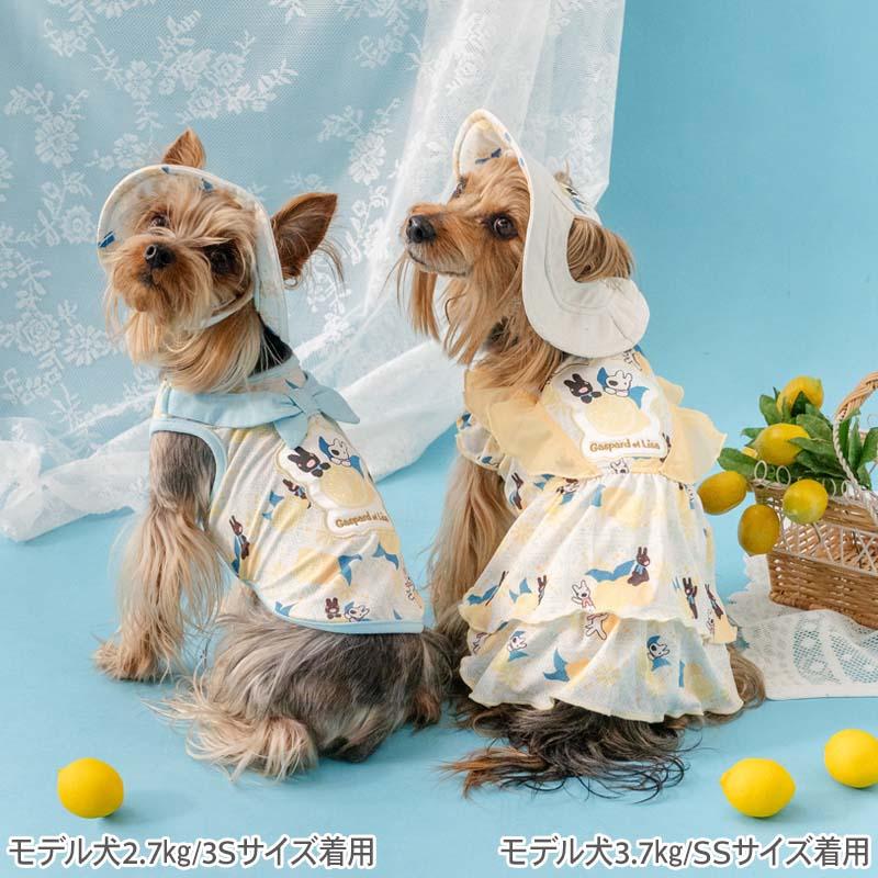 PET PARADISE（ペットパラダイス） リサとガスパール 犬 服 夏