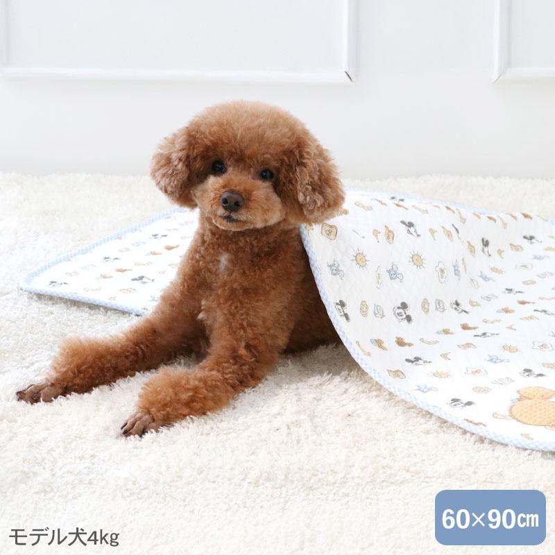 Disney（ディズニー） ミッキーマウス 犬 毛布 冬 パン柄 ブランケット