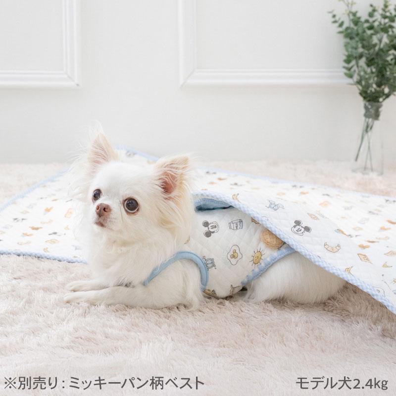 Disney（ディズニー） ミッキーマウス 犬 毛布 冬 パン柄 ブランケット