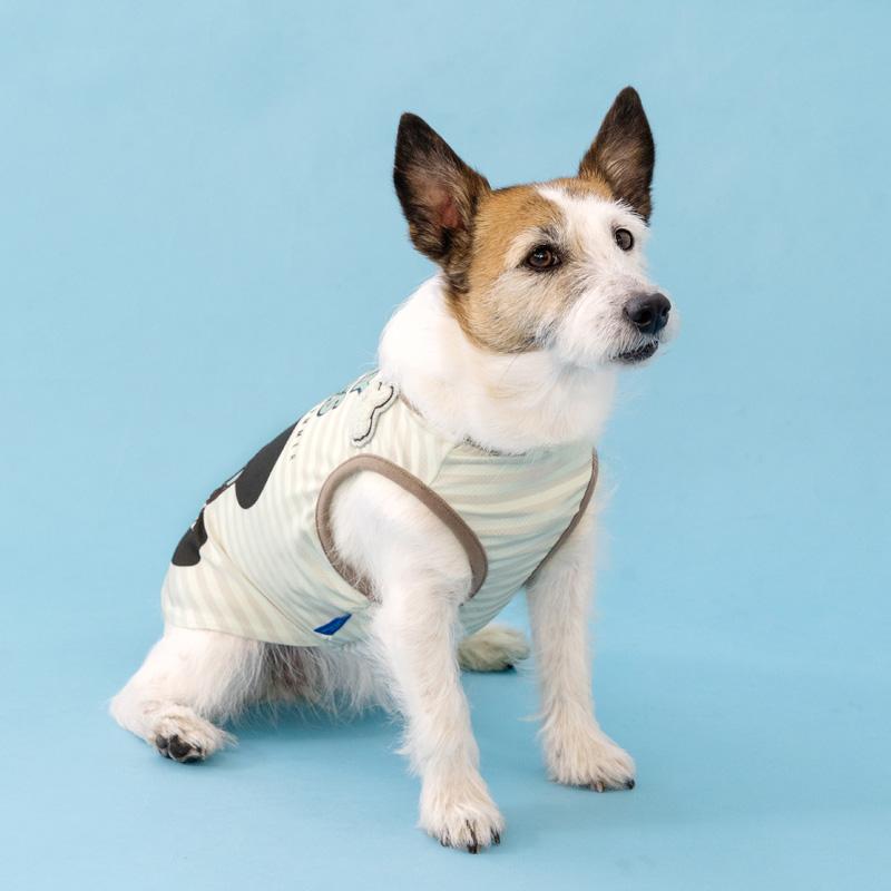 Disney（ディズニー） ミッキーマウス 犬 服 夏 サングラス タンク