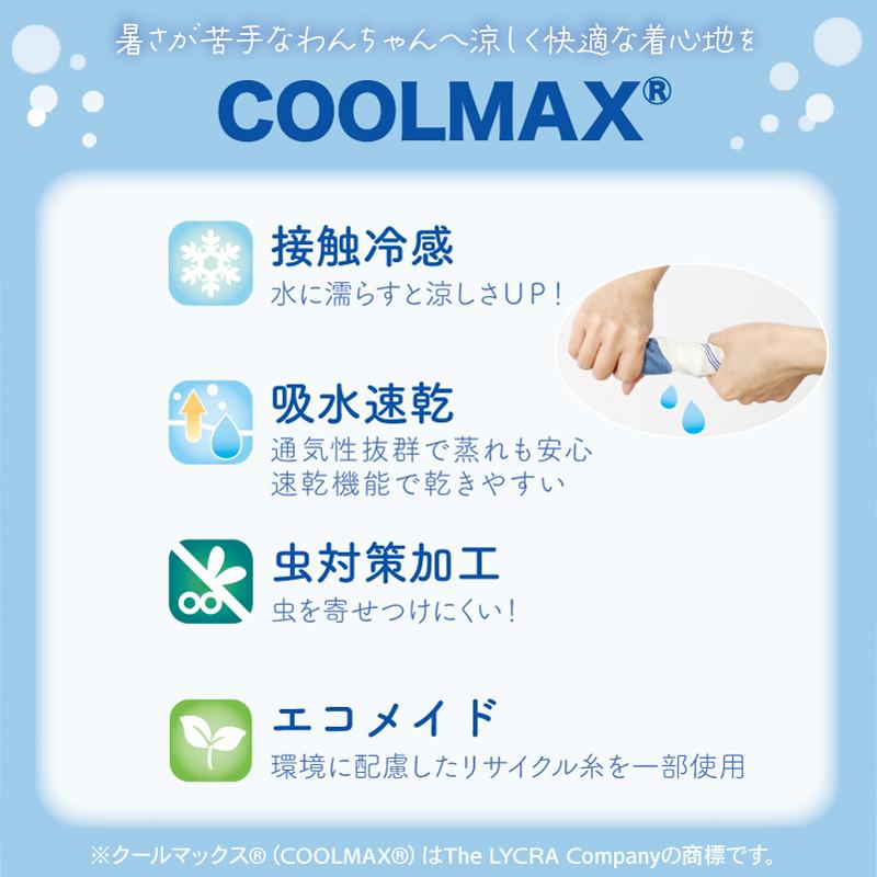 サルート【マイフェアレディ】D70&ソングM IV 60 サルート 60 IV