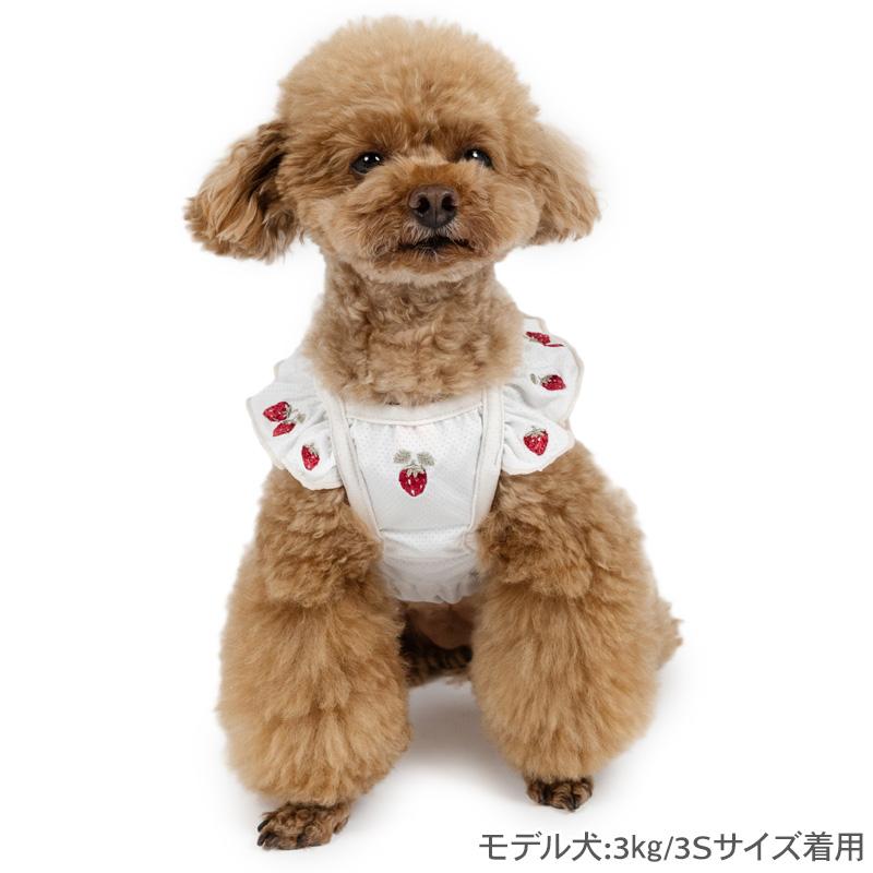 PET PARADISE（ペットパラダイス） 犬 服 春 夏 エコメッシュ 苺刺繍