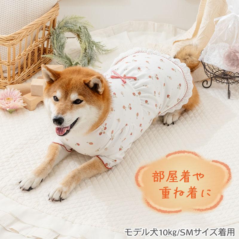 犬服 SS わんこの普段着　いちごにラメドット PET PARADISE（ペットパラダイス） 犬 服 冬 いちご柄 ペティヒート T