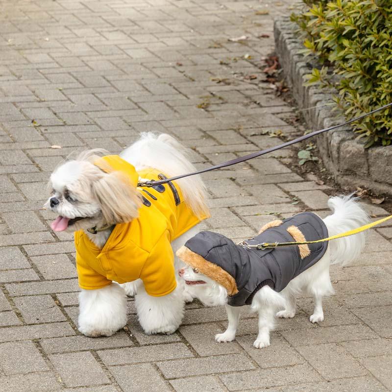PET PARADISE（ペットパラダイス） 犬 服 冬 ダッフルコート 小型犬