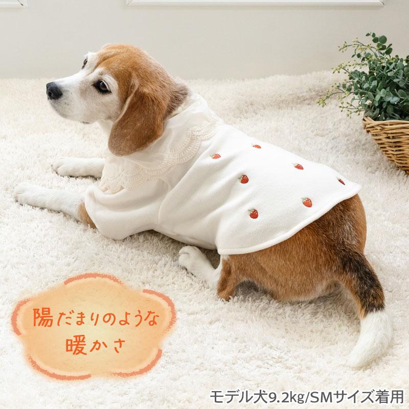 PET PARADISE（ペットパラダイス） 犬 服 冬 いちご柄 ペティヒート暖