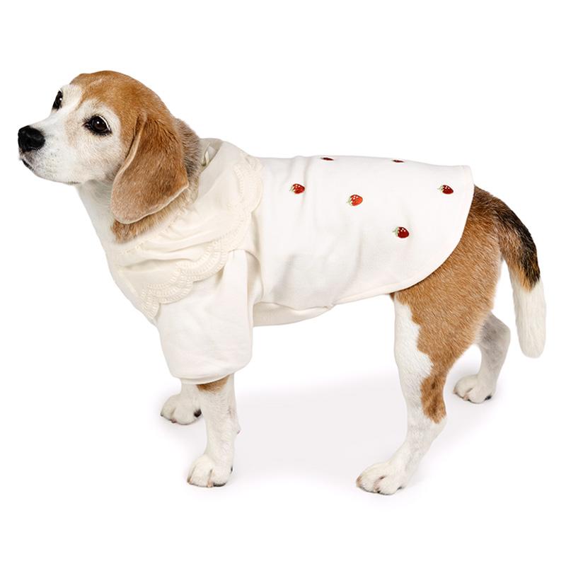 PET PARADISE（ペットパラダイス） 犬 服 冬 いちご柄 ペティヒート暖