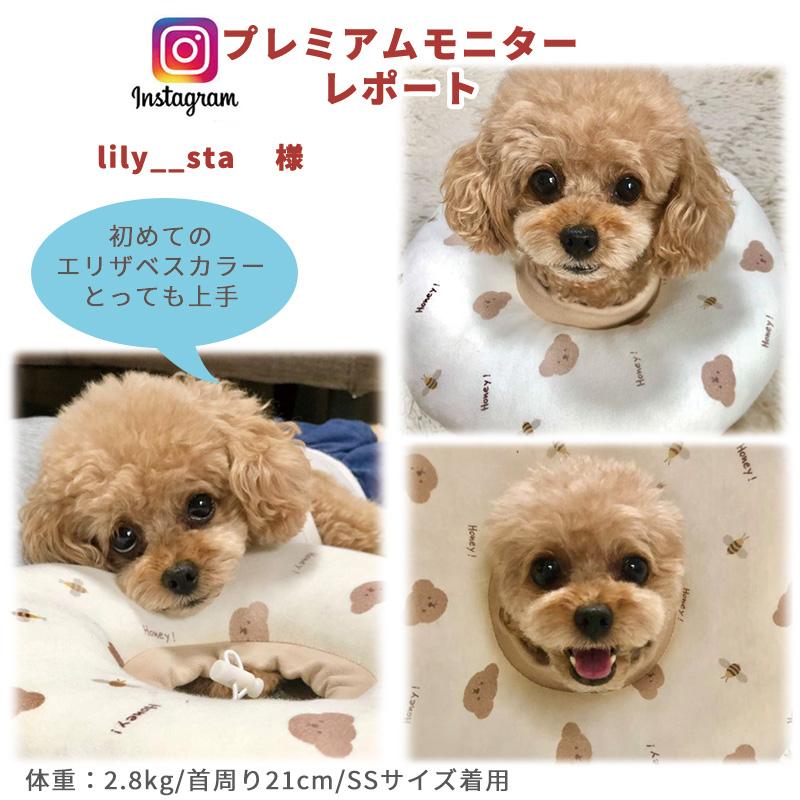 ペットパラダイスエリザベスカラー 犬 猫 ふわふわ エリザベスカラー ｓｓ ひよこ 布 いちご くま 小型犬 浮き輪 ソフト