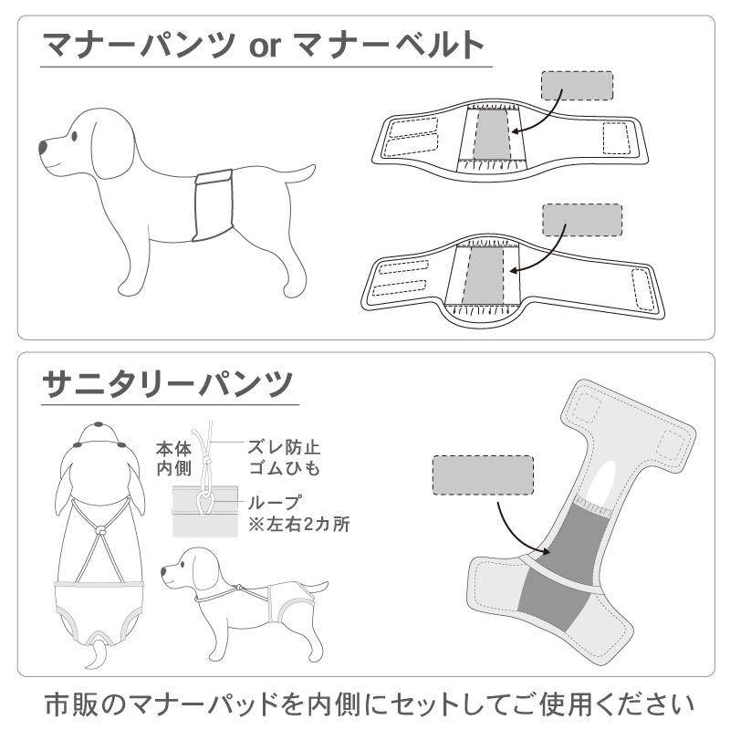 PET PARADISE（ペットパラダイス） マナーベルト 犬 メール マナー