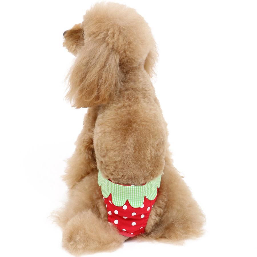 マナーウェア 犬 メス マナーパンツ 生理パンツ 女の子 生理用 介護 小型犬 超小型犬 抗菌消臭 苺 サニタリーパンツ 小型犬 メール便可 ペットパラダイス 通販 Paypayモール