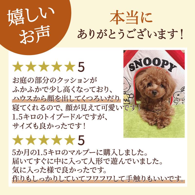 SNOOPY ペットハウス 犬小屋型 赤/緑 SNOOPY（スヌーピー） ポイント10倍 ペットハウス 室内用 犬 赤屋根 芝