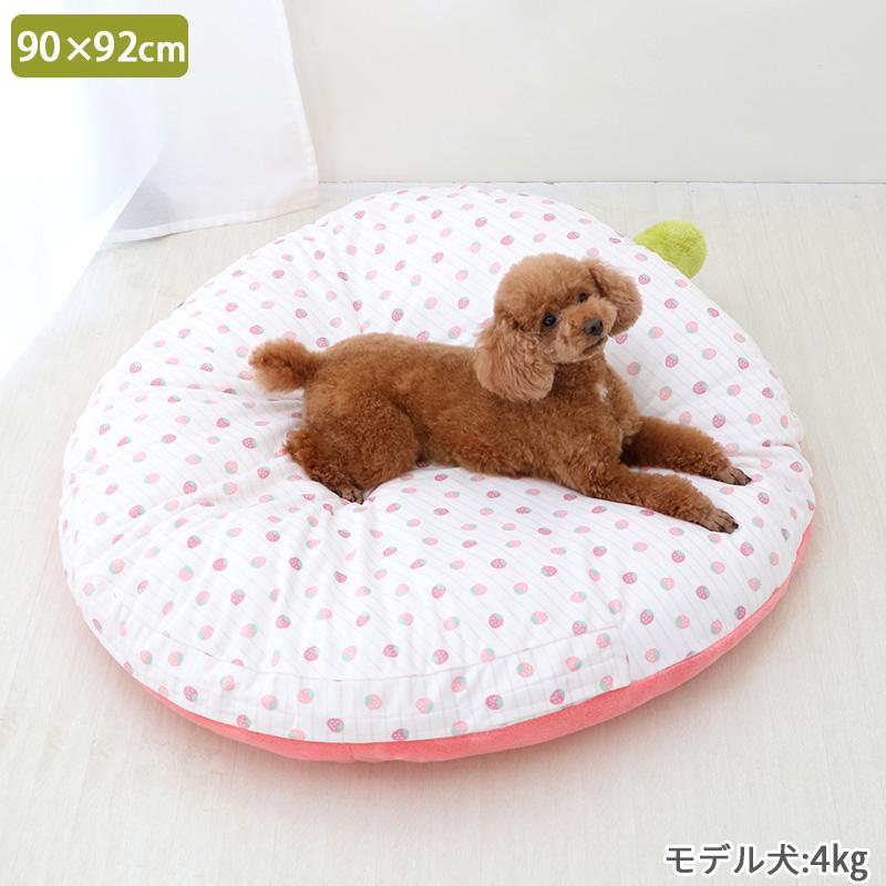 ペットパラダイス いちごクッション ネット店限定 くすみ苺 クッション (90×92cm) 小型犬 / PET