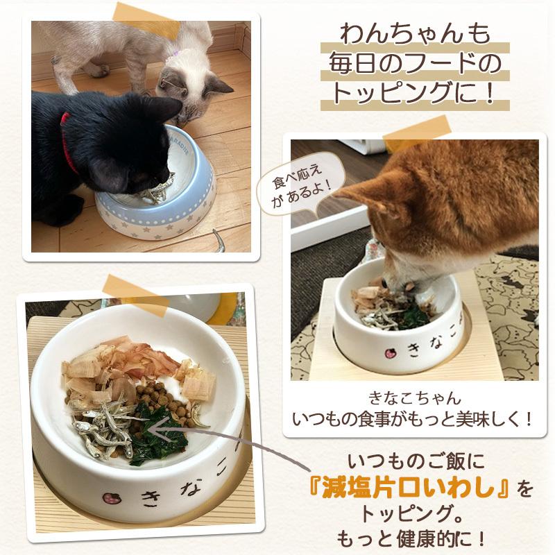 犬 猫 おやつ 無添加 国産 選べる 4個セット お試し 小袋 プレゼント 送料無料 メール便 | デリスタイル 代引不可｜pet-para｜16