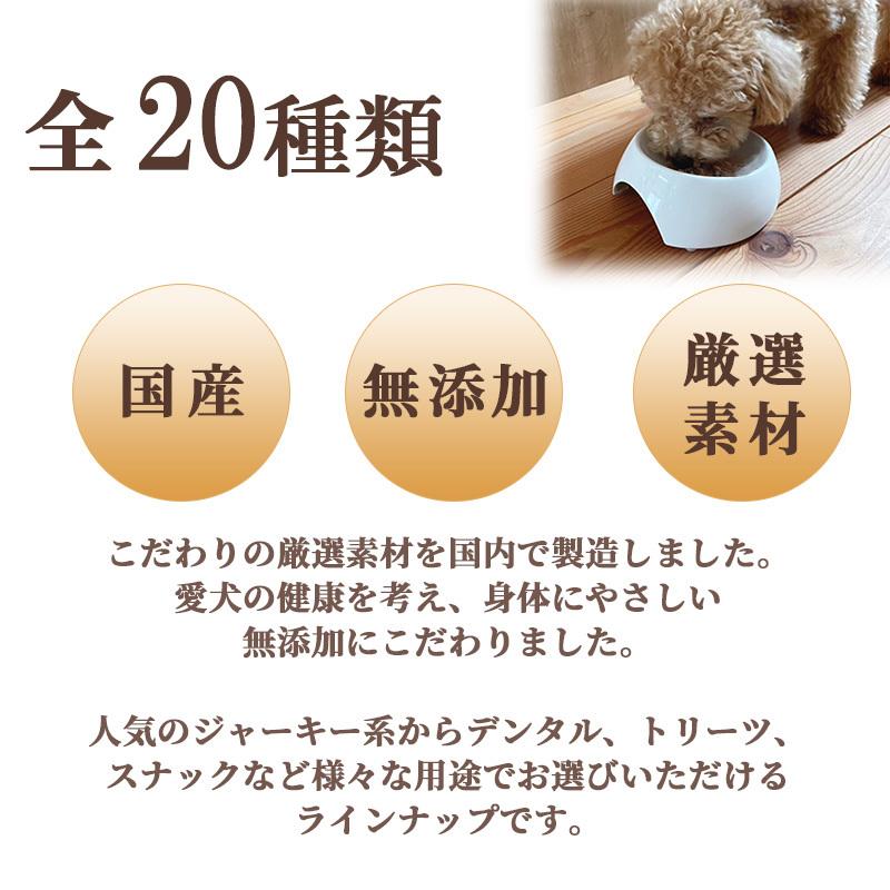 PET PARADISE（ペットパラダイス） 犬 猫 おやつ 無添加 国産 選べる 4