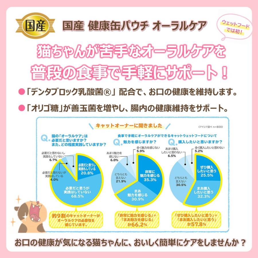 アイシア 国産 健康缶パウチ オーラルケア まぐろペースト 40g（猫用ウェット レトルト）｜pet-ppt｜04