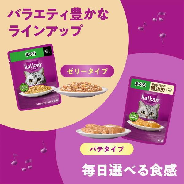 カルカン 【8袋入】マース カルカンパウチ ゼリー仕立て 18歳から