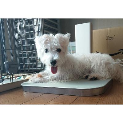 PC−400 ペットのクーラー : ペットの冷暖房器のお店 - 通販