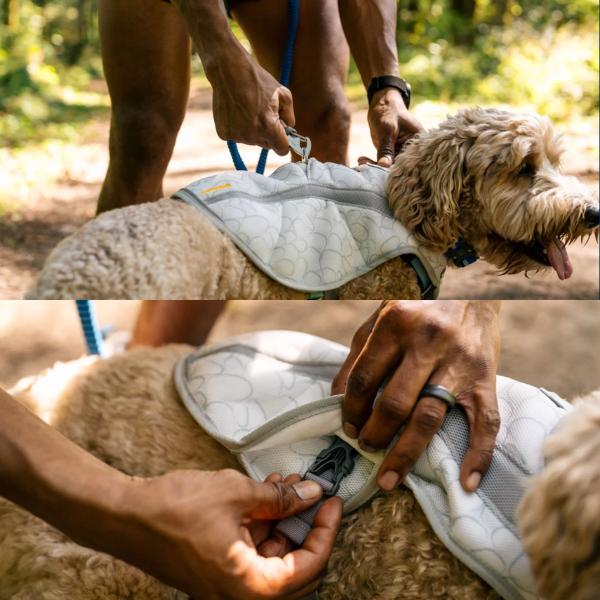 【未使用】ラフウェア　スワンプクーラーベスト　Sサイズ ラフウェア スワンプクーラーベスト 犬 小型犬 中型犬 大型犬