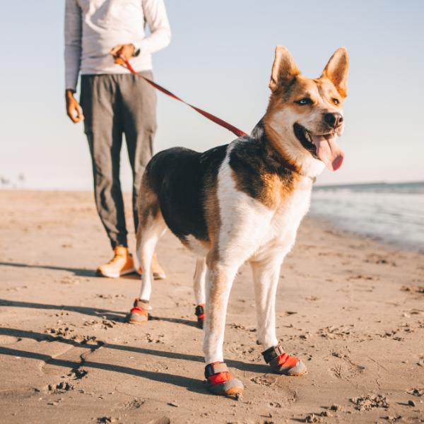 ラフウェア グリップトレックスブーツ 犬 靴 シューズ 大型犬 中型犬