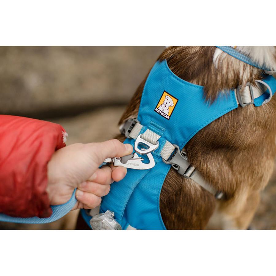 RUFFWEAR ラフウェア フラッグライン ハーネス : ラフラフ ヤフー店