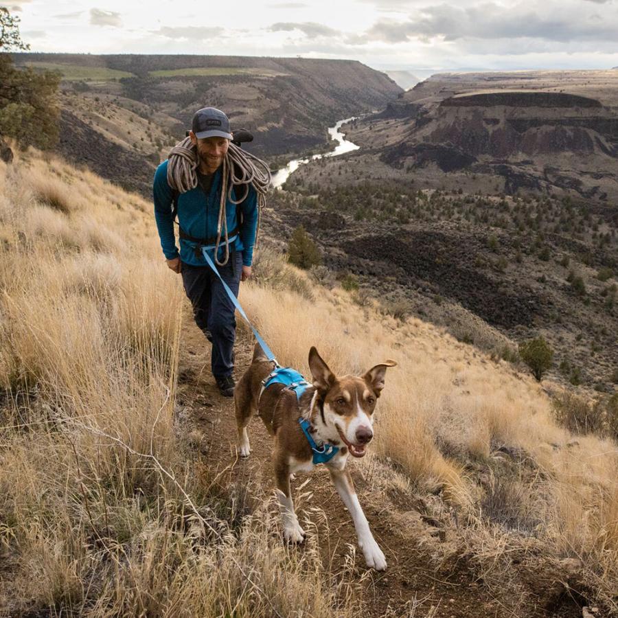ラフウェア フラッグライン ハーネス 犬 小型犬 中型犬 大型犬  (ruffwear)の画像