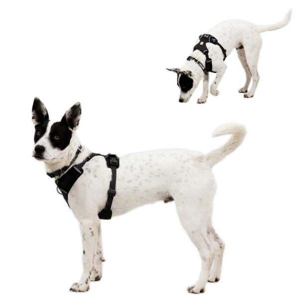 RUFFWEAR ラフウェア ハーネス フロントレンジフレックスハーネス 小型犬 中型犬 大型犬 |  | 15