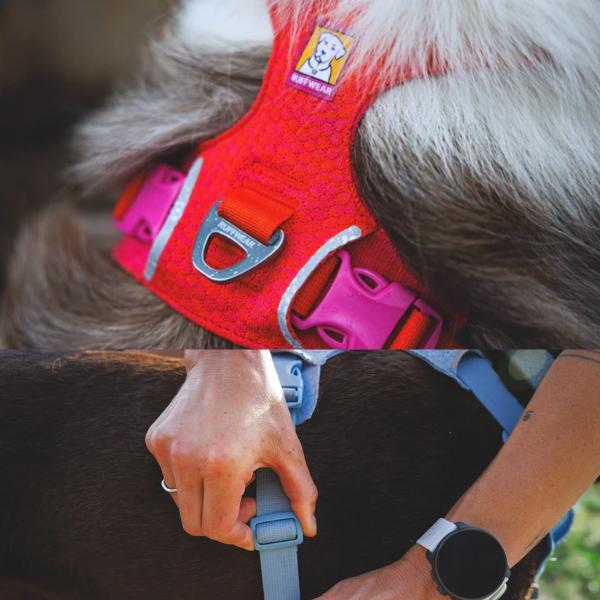 RUFFWEAR ラフウェア ハーネス フロントレンジフレックスハーネス 小型犬 中型犬 大型犬 |  | 16