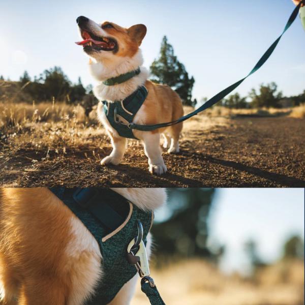 RUFFWEAR ラフウェア ハーネス フロントレンジフレックスハーネス 小型犬 中型犬 大型犬 |  | 18