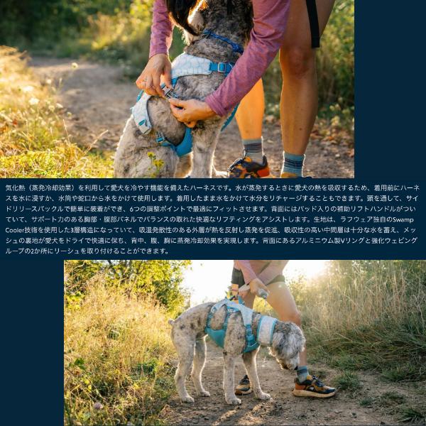ラフウェア スワンプクーラーハーネス 犬 小型犬 中型犬 大型犬