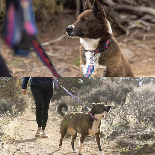 ラフウェア ショルダーリード クラッグEX リーシュ 犬 大型犬 中型犬