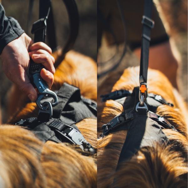 ラフウェア ショルダーリード リッジラインリーシュ 犬 小型犬 中型犬 大型犬 (ruffwear) |  | 05