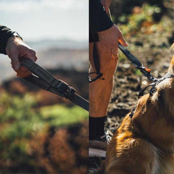ラフウェア ショルダーリード リッジラインリーシュ 犬 小型犬 中型犬 大型犬 (ruffwear) |  | 06