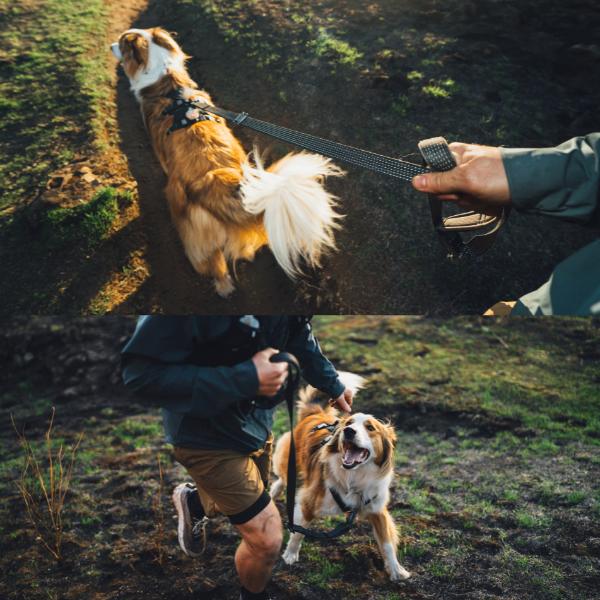 ラフウェア ショルダーリード リッジラインリーシュ 犬 小型犬 中型犬 大型犬 (ruffwear) |  | 07