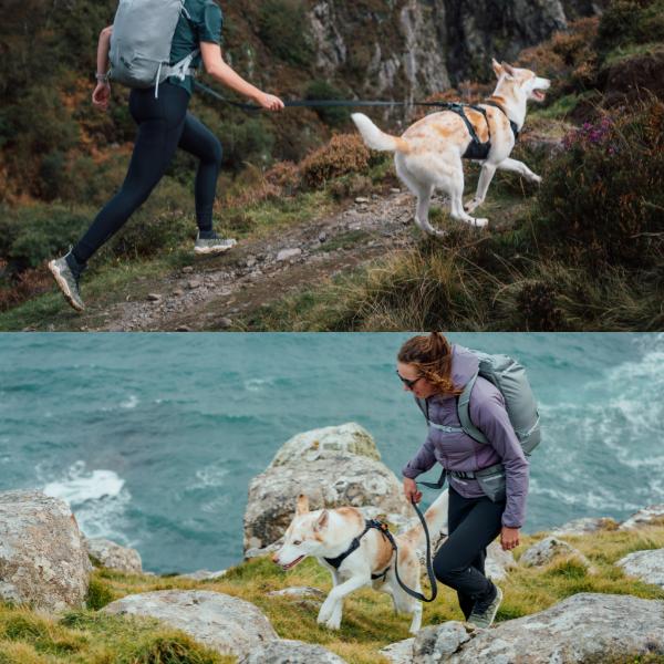 ラフウェア ショルダーリード リッジラインリーシュ 犬 小型犬 中型犬 大型犬 (ruffwear) |  | 08