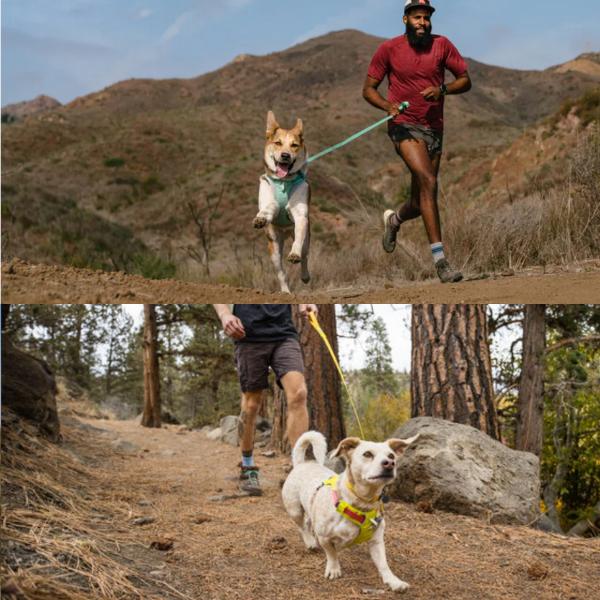 ラフウェア RUFFWEAR リード ハイ＆ライトリーシュ 犬 大型犬 中型犬 小型犬 |  | 07