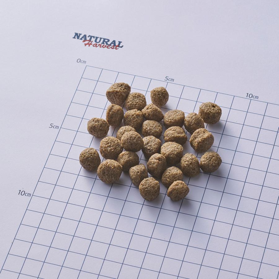 ナチュラルハーベスト（NATURAL harvest） メンテナンス ラム 6kg 大粒