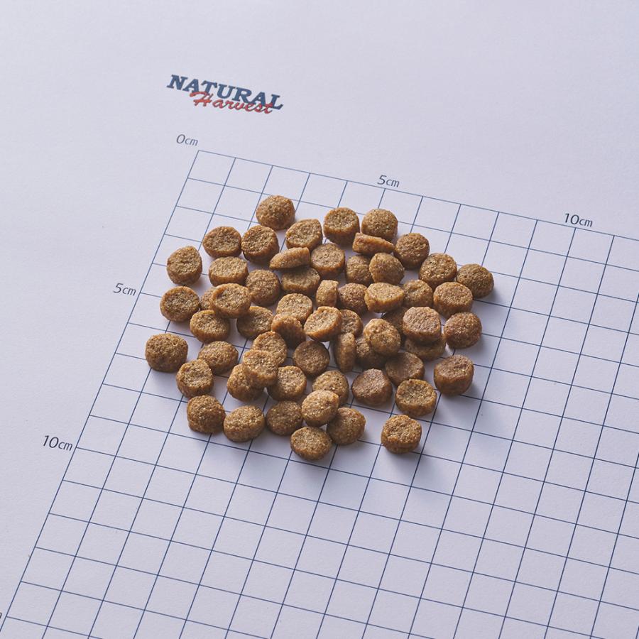 ナチュラルハーベスト（NATURAL harvest） フラックス 6kg 中粒 犬