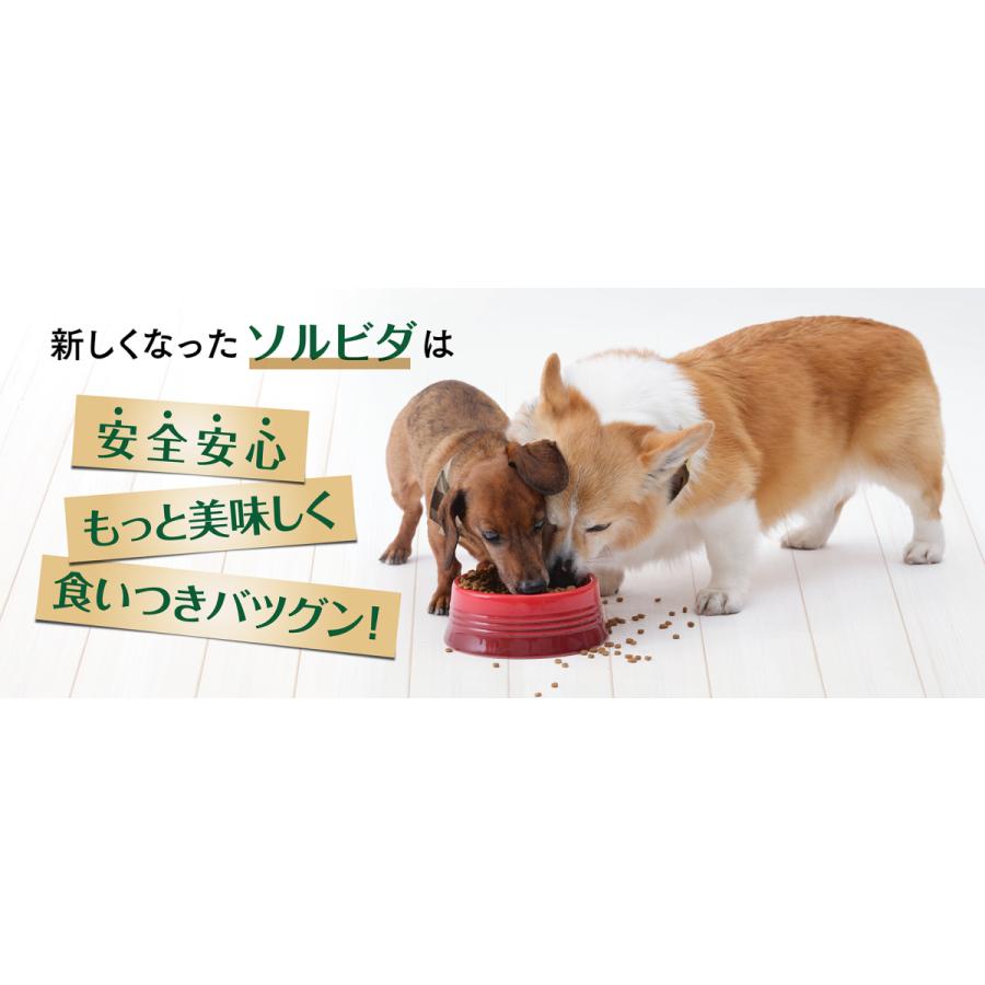 ソルビダ　グレインフリー　チキン　室内飼育成犬用　３．６ｋｇ｜pet-ruffruff｜03