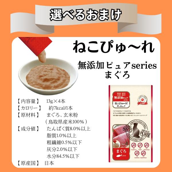 キアオラ 猫 カンガルー 2.7kg グレインフリー (キャットフード)_3