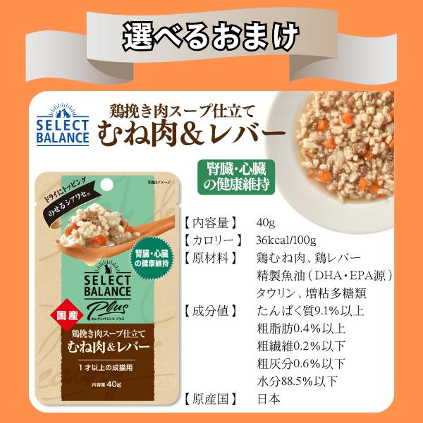 キアオラ 猫 カンガルー 2.7kg グレインフリー (キャットフード)_4