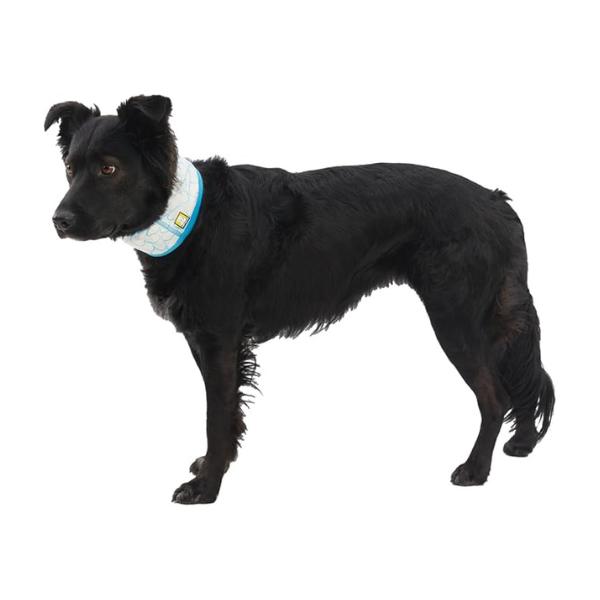 RUFFWEAR ラフウェア スワンプクーラー ネックゲーター XXS XS S M L / XL  ネック SS25 小型犬 中型犬 大型犬 |  | 02