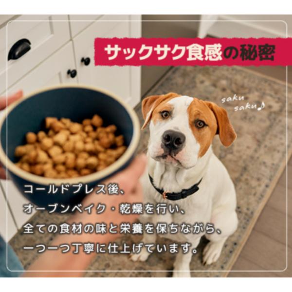オネストキッチン クランチ グレインフリー ターキー 2.27kg 犬